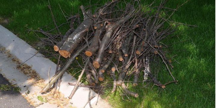 Brush Pickup