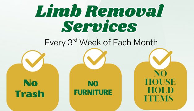 Limb Removal Services